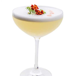 PISCO SOUR