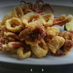 CALAMARES FRESCOS