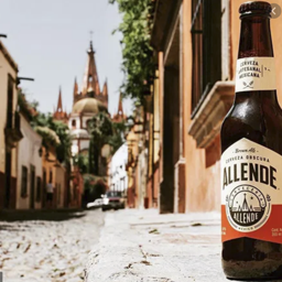 Cerveza artesana Allende Brown