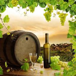 ■Vino Blanco D.O. Chardonnay 