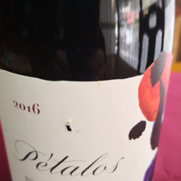 PÉTALOS DEL BIERZO