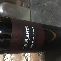 La planta   " Bodegas Arzuaga"