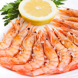 Gamba blanca a la plancha 🍤