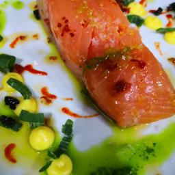 SALMÓN A LOS CÍTRICOS EN SOUS VIDE  CON SALSA DE OSTRAS