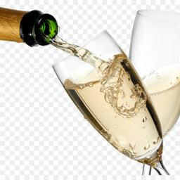 JOAN COLET RIUS  Reserva- Brut Nature