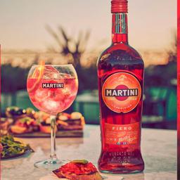 Martini Fiero Tonic