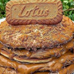 Tortitas lotus 
