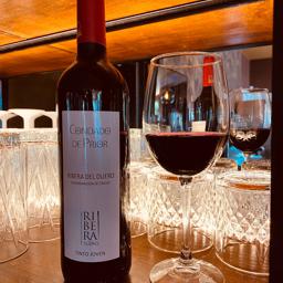 Condado de Prior (vino casa,ribera)