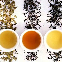 Té / infusiones
