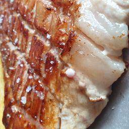 Secreto de Cerdo iberico