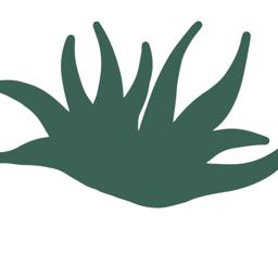 Quiote Mezcalería Quiote Mezcalería