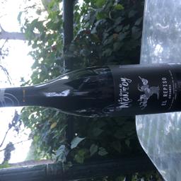 El Repiso  "LA CASA DE MONROY"