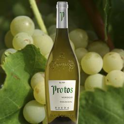 Vino blanco Protos Rueda (verdejo)