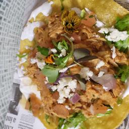 ▪︎Tosta de Tinga de Pollo