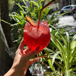 Campari Tonic