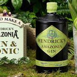 Hendrick’s Amazonia