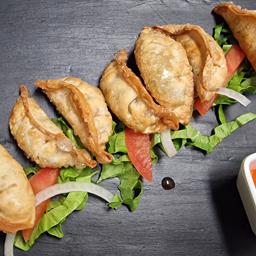 Gyozas de Verduras Fritas 