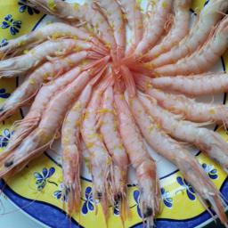 GAMBAS DE HUELVA