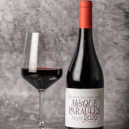 Mes que Paraules Negre 