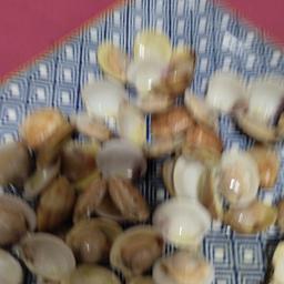 CHIRLAS DE ISLA CRISTINA