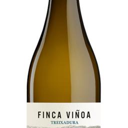 Finca Viñoa