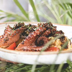 PULPO A LA PARRILLA CON CHIMICHURRI 