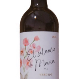 EL SILENCIO DE MARIA