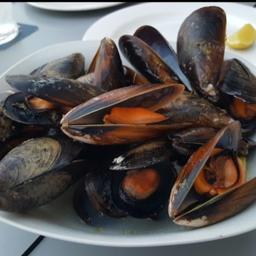 Mejillones s vapor