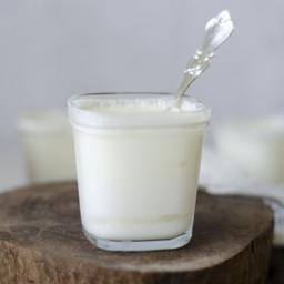 Yogurt natural