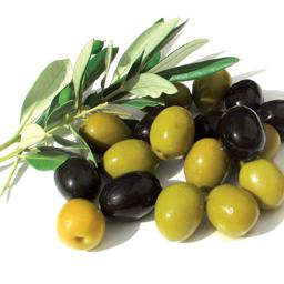 Aceitunas