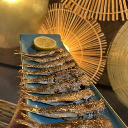 Sardinas